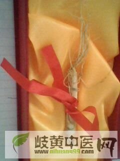 IMG0031A.jpg