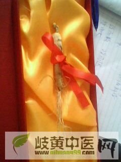 IMG0032A.jpg