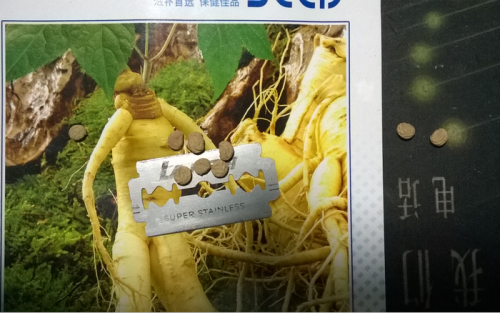 搜狗截图15年03月28日2107_3.png