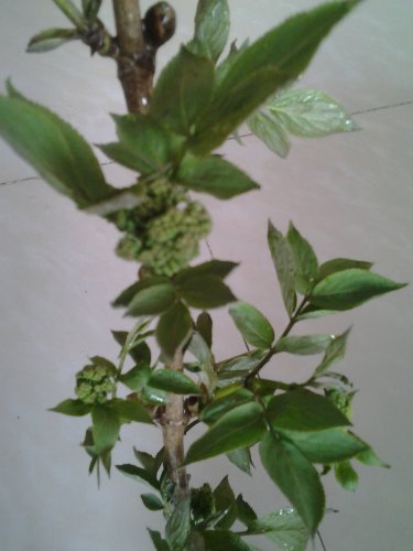 照片0503.jpg