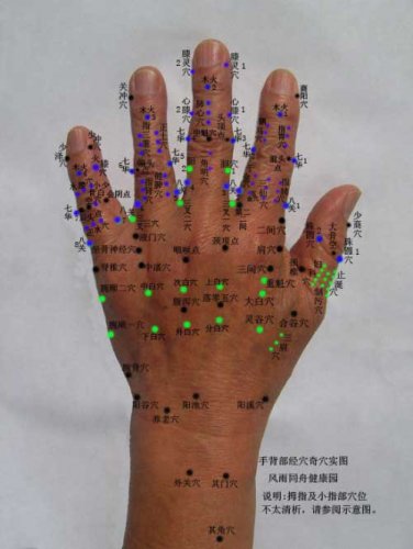 手针2.jpg
