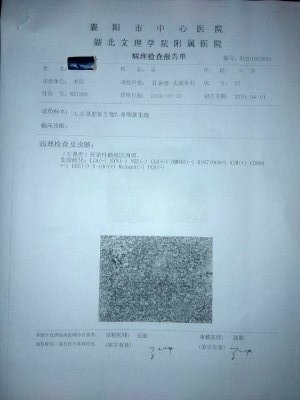 181302bagvu37dfc33gt0d.jpg.thumb_看图王.jpg