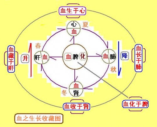 血之生长化收藏图.JPG
