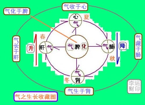 气之生长收藏图.JPG