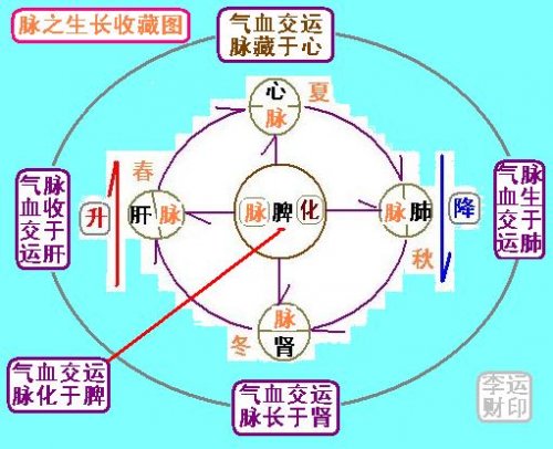 脉之生长收藏图.JPG
