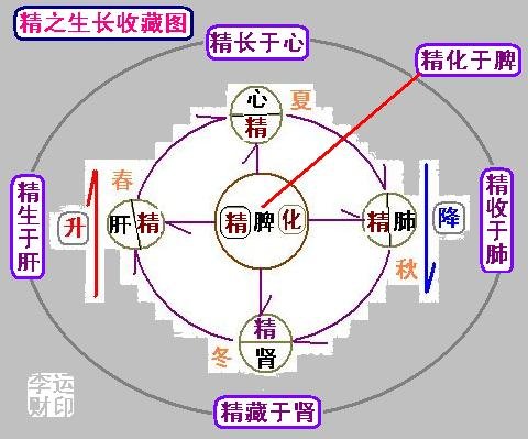 精之生长收藏图.JPG