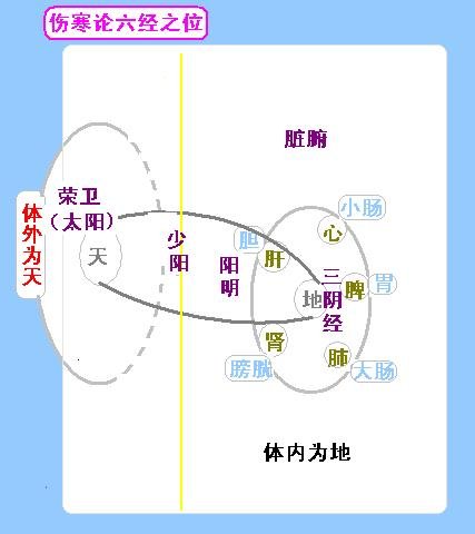 伤寒六经论位图.JPG