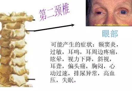 2.webp.jpg