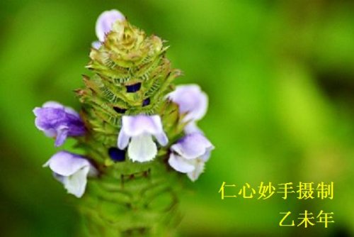 204834c6j4mjmu4mbsuj1q.jpg.thumb.jpg