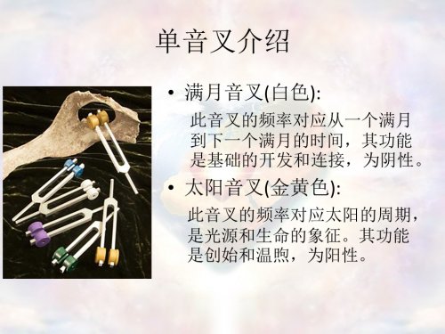 JingLuoYinChaJieShao-XuJia20-9.JPG