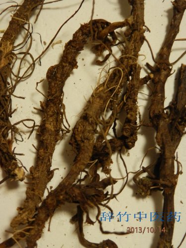 野生柴胡？（禹州药材市场） (5).jpg