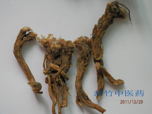 白头翁伪品-萎陵菜根 (3).jpg