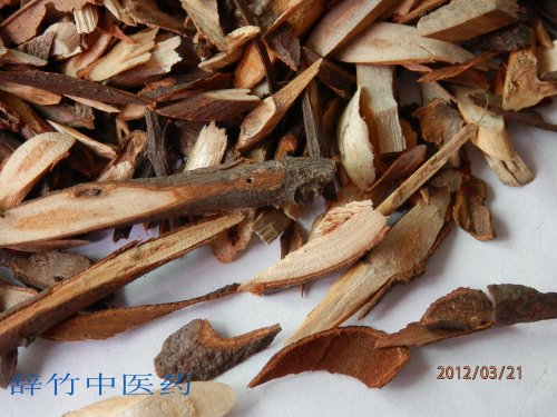 桂枝.jpg