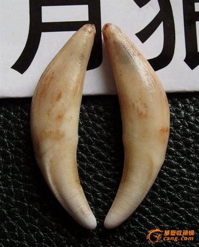 狼牙3.jpg