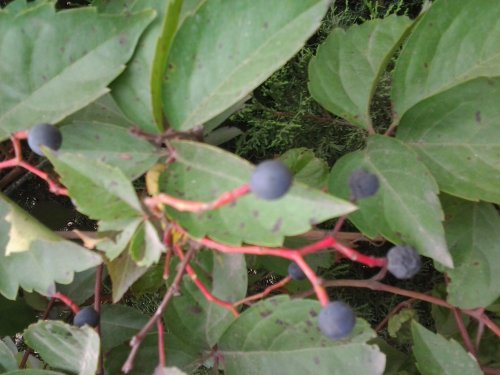 照片0840.jpg