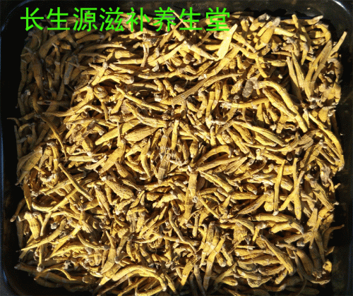 石斛-4.gif