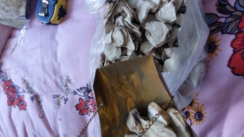 IMG20151011144929.jpg