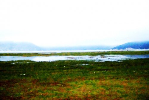 DSC01683_conew1.jpg
