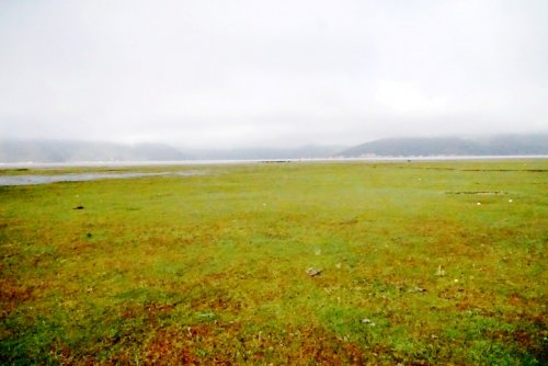 DSC01698_conew1.jpg