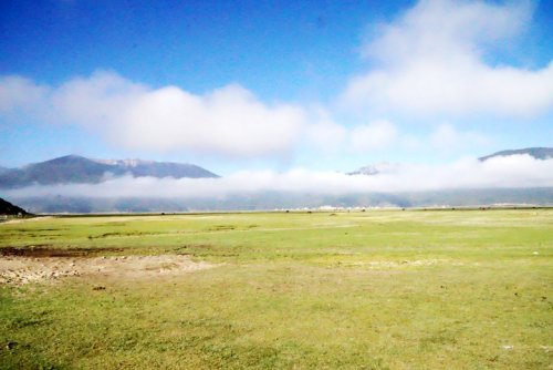 DSC01701_conew1.jpg