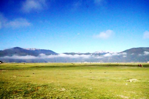DSC01715_conew1.jpg