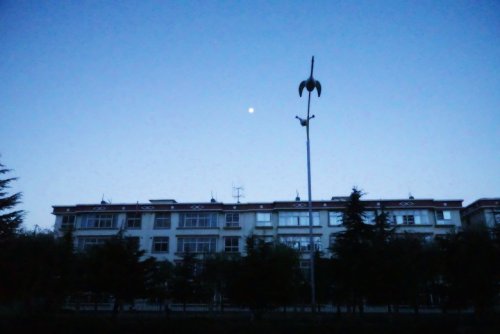 DSC01673_conew1.jpg