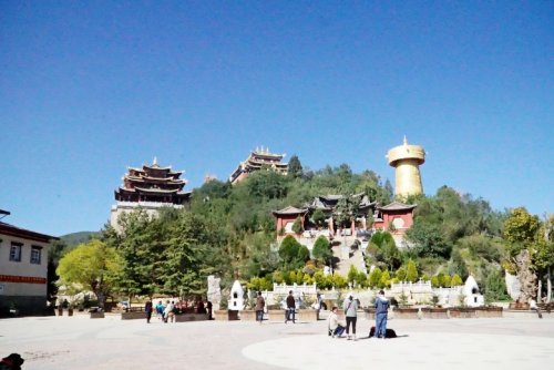 DSC01732_conew1.jpg