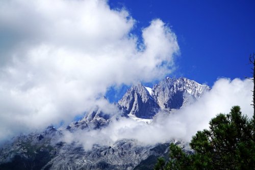 DSC01598_conew1.jpg