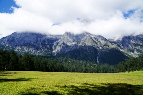 DSC01610_conew1.jpg
