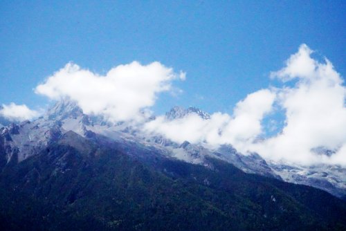 DSC01663_conew1.jpg