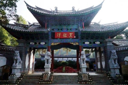 DSC01767_conew1.jpg