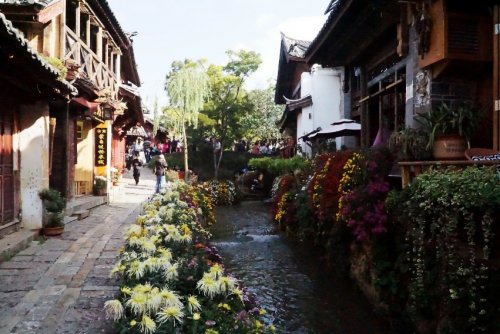 DSC01792_conew1.jpg
