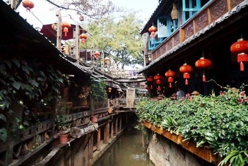 DSC01795_conew1.jpg