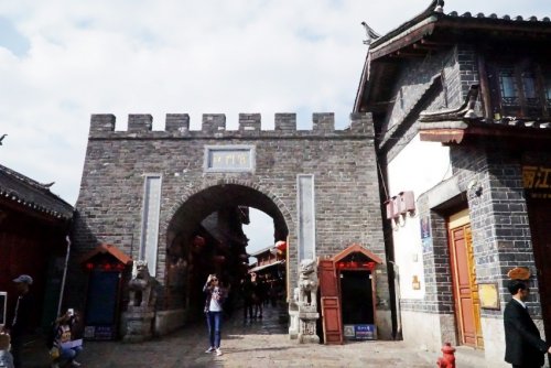DSC01797_conew1.jpg