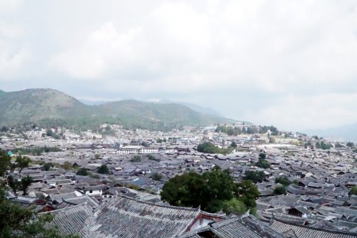 DSC01859_conew1.jpg