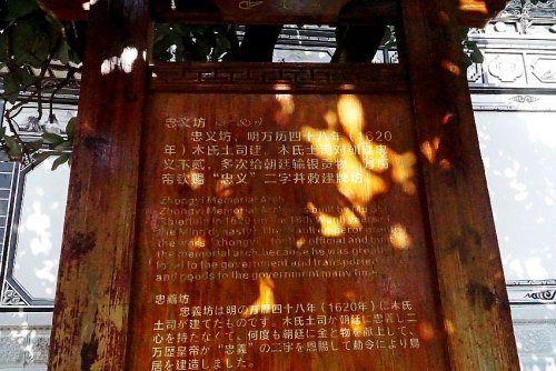 DSC01804_conew1.jpg
