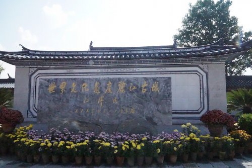 DSC01820_conew1.JPG