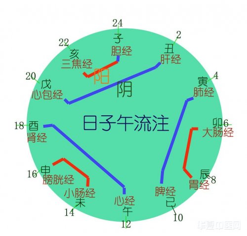 子午流注.jpg