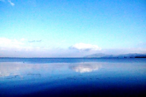 DSC01900_conew1.jpg