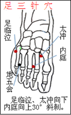 图片2.png