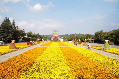 DSC02050_conew1.jpg