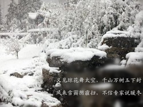 t01c51ff9413db46f10_副本.jpg