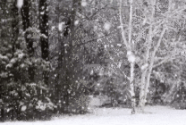 t01b96824aa52e4ea1b.gif