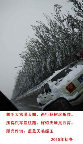 12254057743755110.jpg