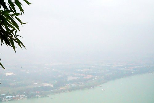 DSC02179_conew1.jpg