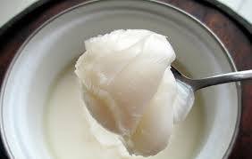 猪油.jpg