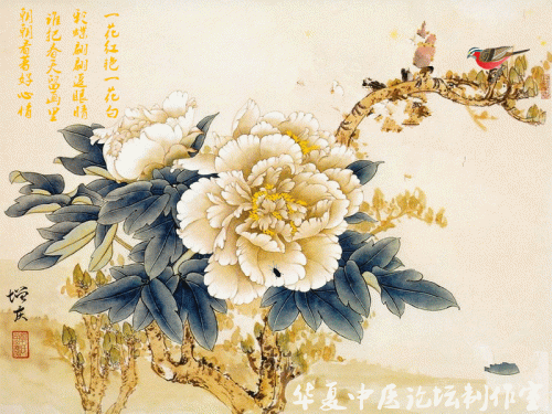黄二_副本.gif
