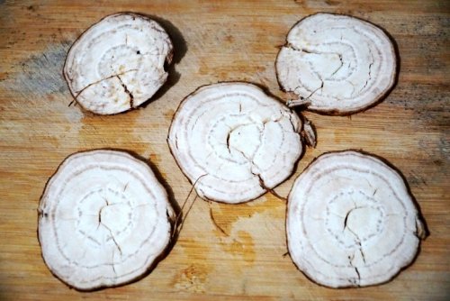 DSC02606_conew1.jpg