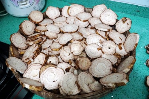 DSC02608_conew1.jpg