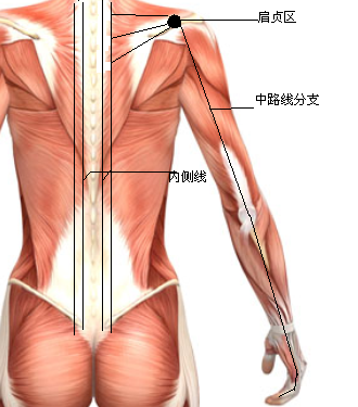 图5.png